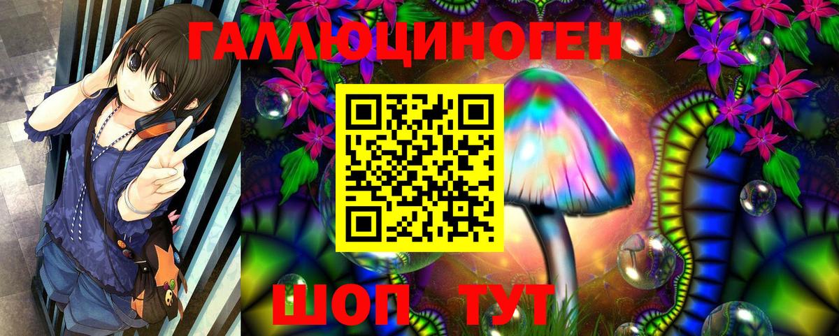 Псилоцибиновые грибы Psilocybe  Галлюциногенные грибы мухоморы  Вход с VPN  Гусиноозёрск 