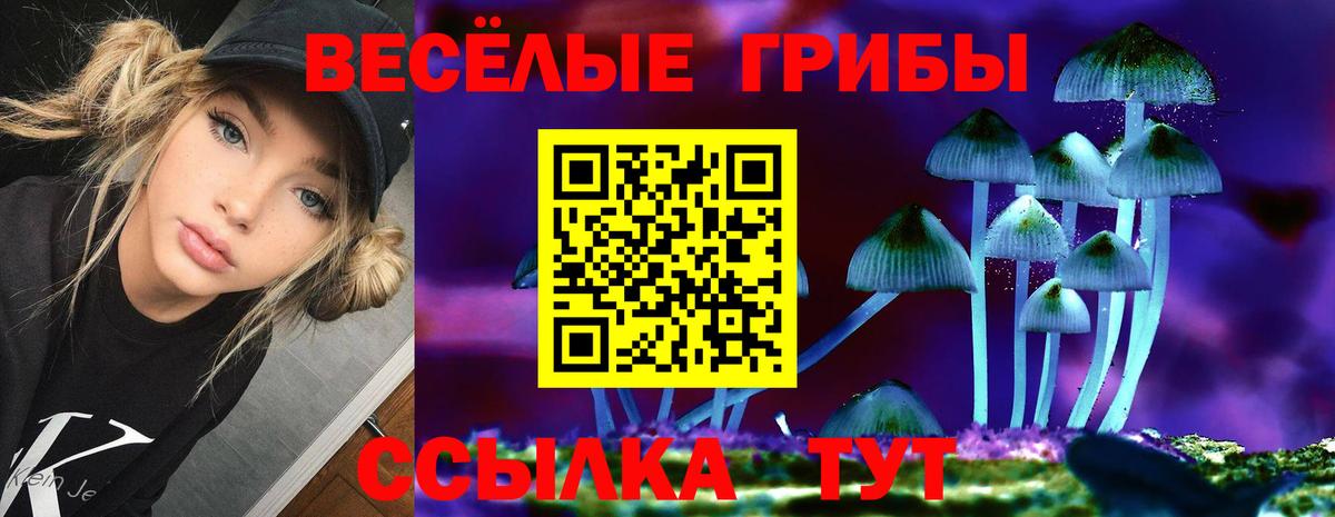 Галлюциногенные грибы мицелий Гусиноозёрск